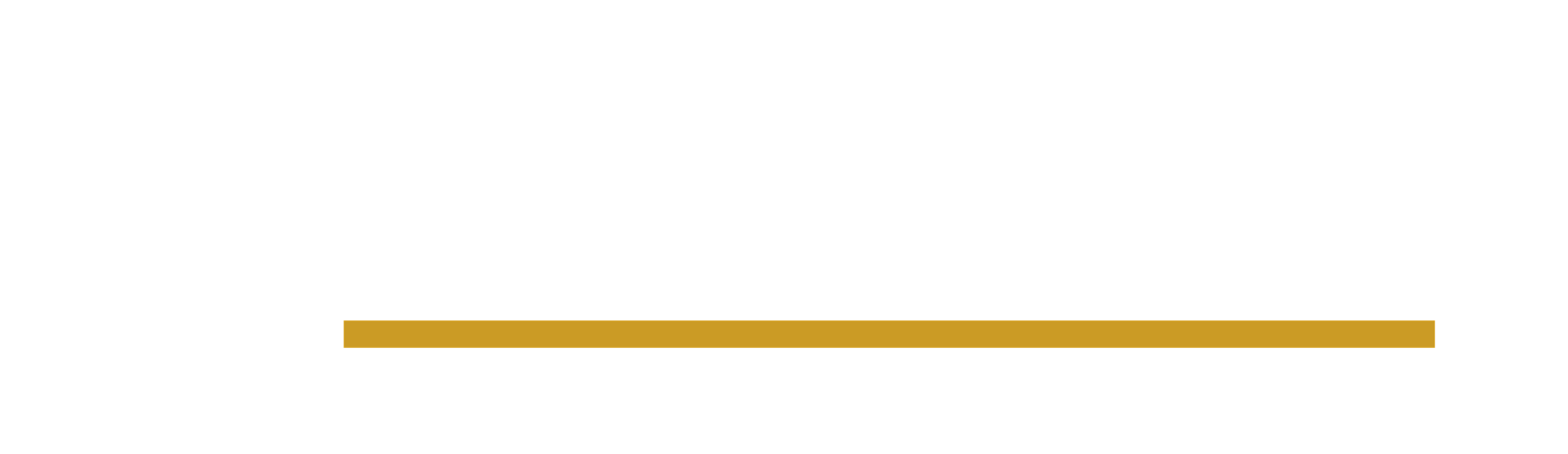 9LEVEL
